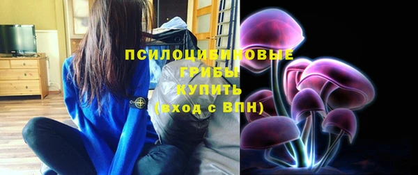 винт Дмитриев