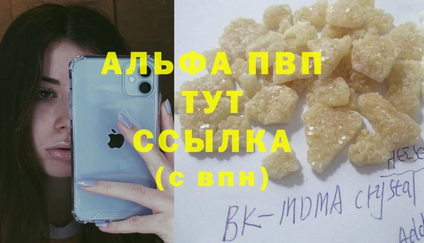 винт Дмитриев