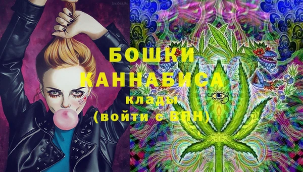 винт Дмитриев