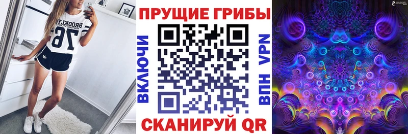Псилоцибиновые грибы мицелий  МЕГА сайт  Ефремов 