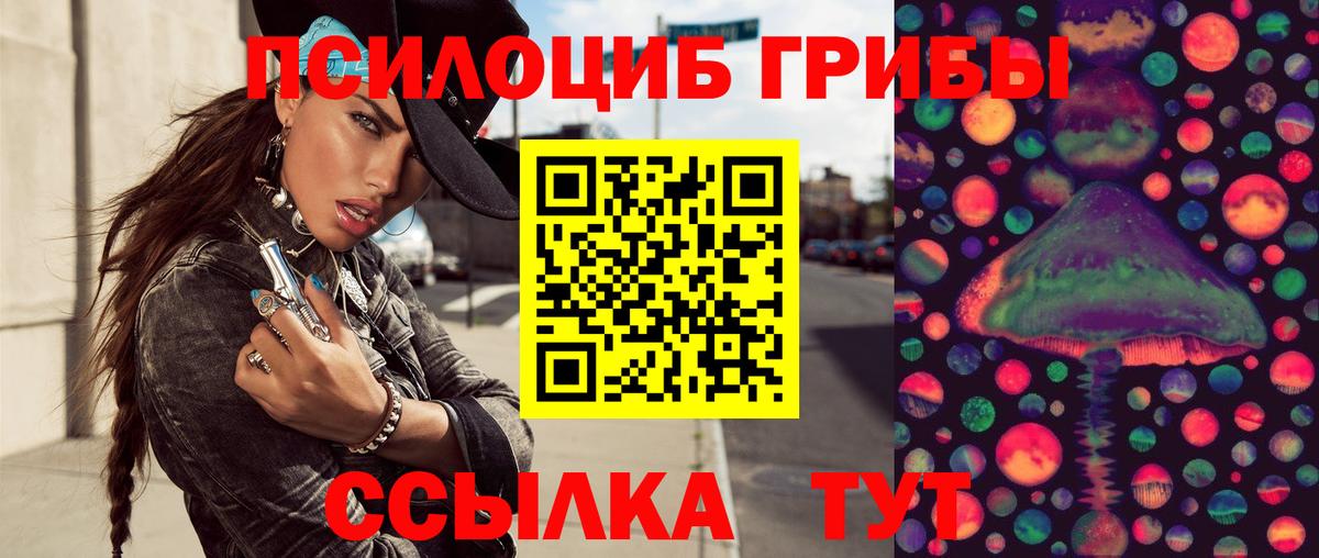 Галлюциногенные грибы MAGIC MUSHROOMS  Ефремов 